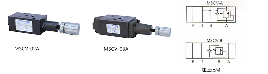 MSCV.jpg