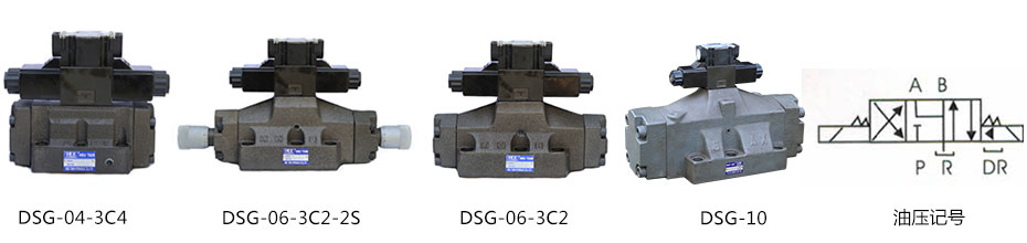 DSG.jpg
